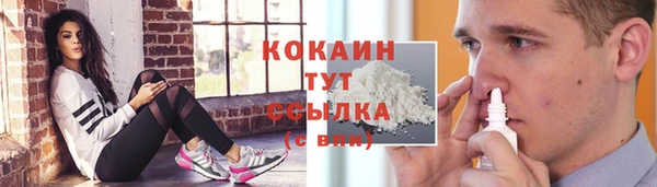 mdpv Белокуриха