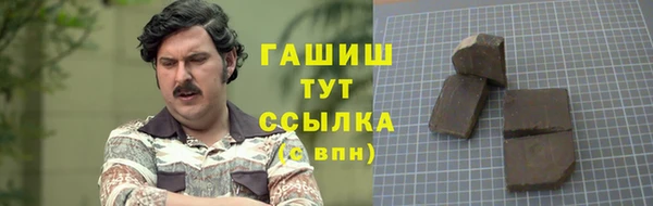 сатива Беломорск