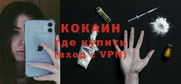 сатива Беломорск