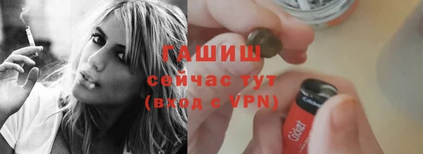 сатива Беломорск