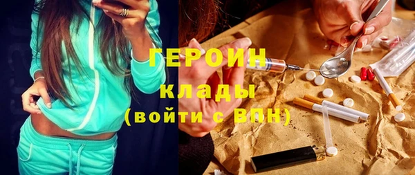 сатива Беломорск
