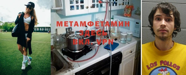 сатива Беломорск