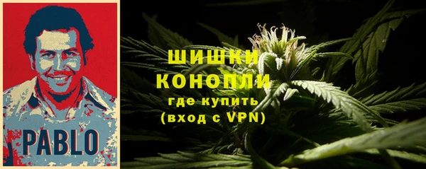 mdpv Белокуриха